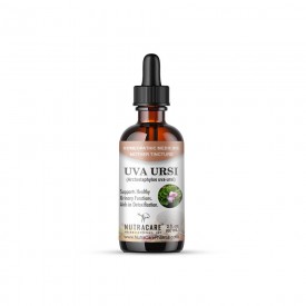 Uva Ursi Q - Mother Tincture